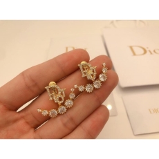 Christian Dior Earrings